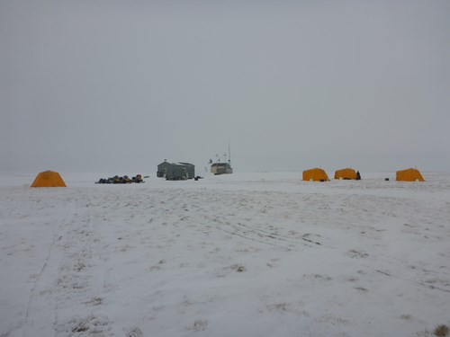 Arctic oven tents set up around cabin on Teshekpuk Lake