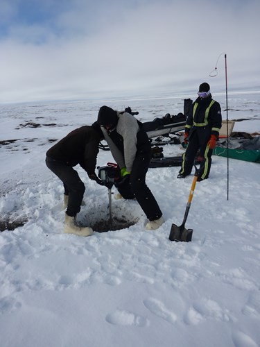 Ben J and Allen B collecting a permafrost core to 2.5 m depth