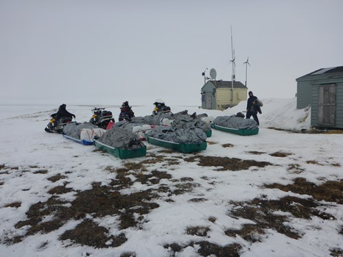 Four snowgos, eight sleds, and four hombres depart Qaviarrot